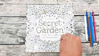 Mr. kidd_zentangle secret garden祕密花園(著色本練習字幕) 