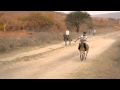 CARRERAS DE BURROS EN MONTELEON MICHOACAN