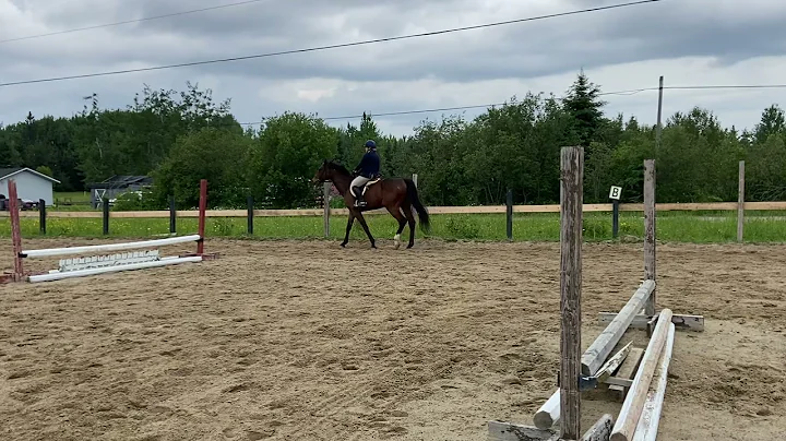 Leeanne Gilbert - Raffi # 22 Equitation w/t/c on t...