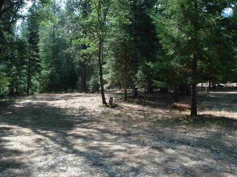 1194 Quincy La Porte Road, Quincy, CA home video tour