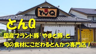 【とんQ】国産ブランド豚「やまと豚」と季節の食材の揚げ物にこだわるとんかつ専門店！Japanese Tonkatsu Restaurant TONQ.【守谷】【飯動画】