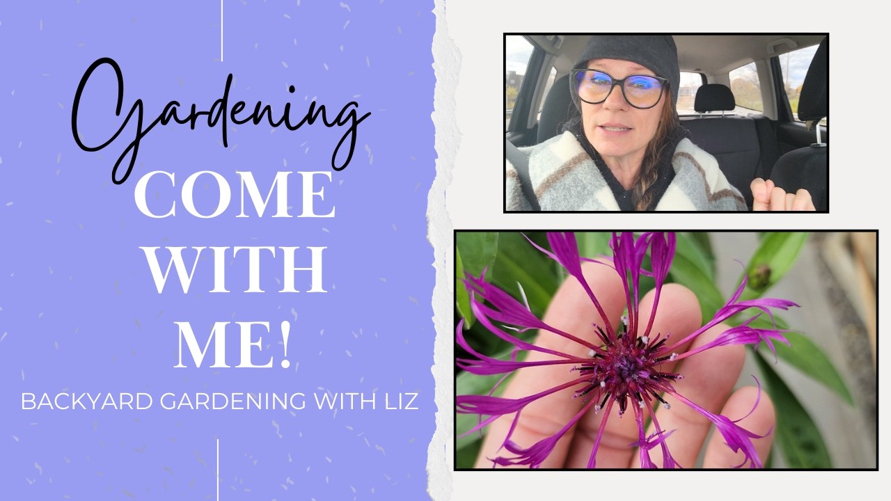 Garden Plant Haul - Come Plant Shopping With Me (Gardening Journey EP 44)