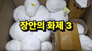 다들 찾는 이유가 있었네… (26.10.28) (多肉植物) (たにくしょくぶつ) Korean Succulent