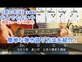 【君の名は】主題歌【なんでもないや/RADWIMPS】の簡単な弾き方を解説!(歌詞/簡単コード/TAB譜付き)【ギター弾き語り初心者レッスン】