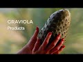 Agravitaegraviolasoursop products61123