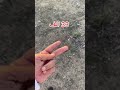 بعضنا قد لا يعلم معنى فاذا فرغت فانصب بعضنا قد لا يعلم معنى فاذا فرغت فانصب