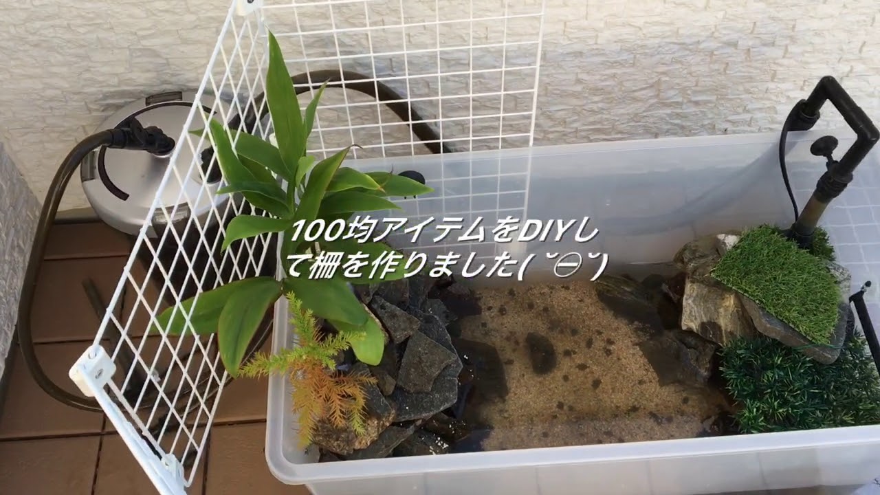 アクアテラリウム 亀水槽 亀水槽をdiyでパワーアップ Youtube