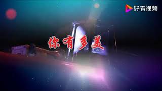 歌曲  你有多美 作词宋青松 作曲王备 演唱柏文汤非 第二版 武汉加油