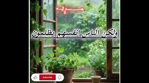 تلاوة تبعث الطمأنينة |  بصوت خاشع يلامس القلب 💖