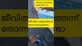 ജീവിതം മടുത്തെന്ന് തോന്നുന്നുണ്ടോ 🙏#timelessreading #collectivereading #tarot