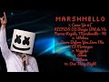 Marshmello-Year's essential hits anthology-Leading Hits Collection-Neutral