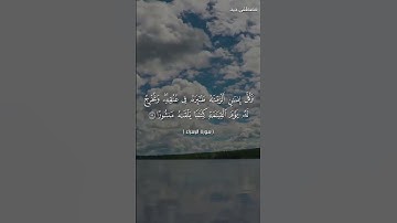 وكل إنسان ألزمناه طائره في عنقه - من سورة الإسراء للقارئ مصطفى جيد
