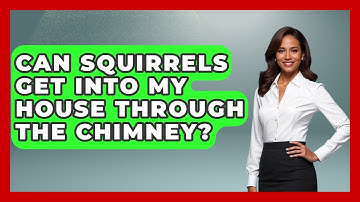 Can Squirrels Get Into My House Through The Chimney? - Insects and Invaders