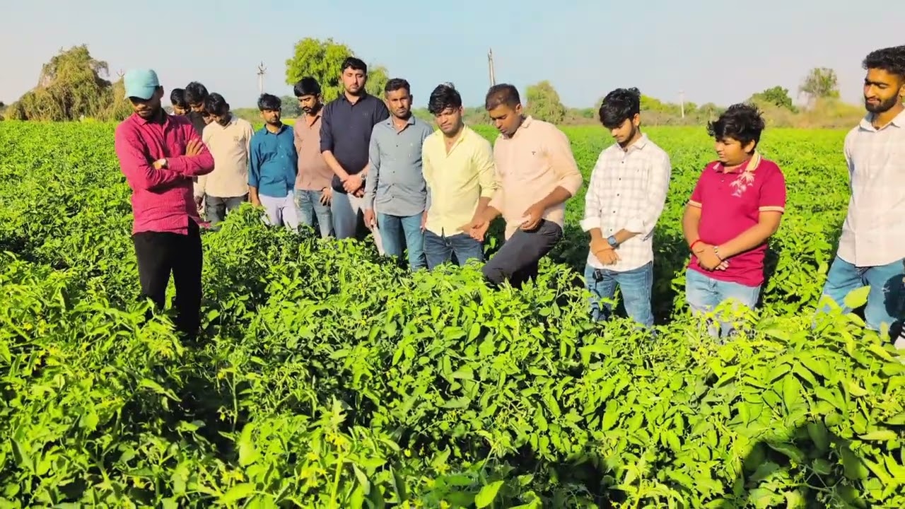 “Wagad Rapar Farming Transformation 🌱 | Traditional to High Value Crops”