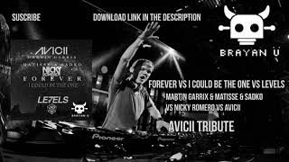 [Avicii Tribute] Forever vs I Could Be The One vs Levels (Brayan Ü Mashup)