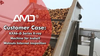 AMD® #KXA6-G Series X-ray Inspection System for Inshell Walnut Internal Inspection