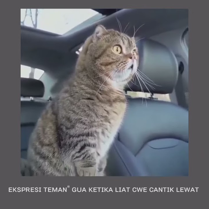 STORY WA 30 DETIK KEREN TERPESONA | TERBARU 2021