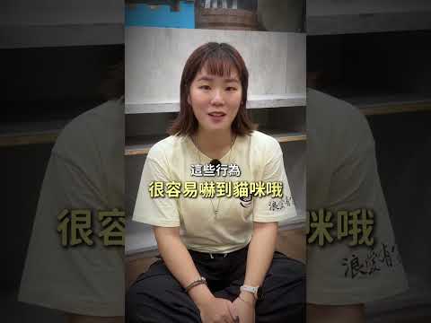 第一次見陌生貓咪千萬別做這三個動作!
