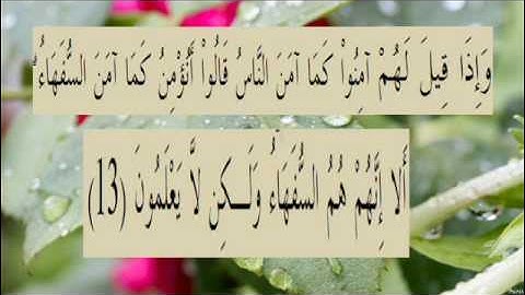 القران الكريم سورة البقرة الاية 13