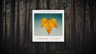 Shawn Williams - Amber Light