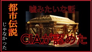 警察官ゆりのアメリカ生活の配信のサムネイル画像