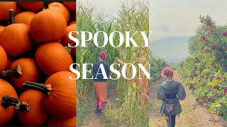 Famous 🎃🦇 Cozy Spooky Fall Vlog: Apple Picking, Cornmaze, Roadtrip and more! 🦇🎃 Wealth