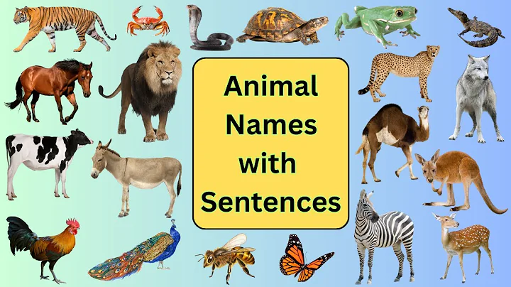50 Animal Names for Kids |  Animal Names with Pictures | Wild Animals | English Vocabulary 