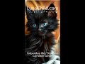 Kitten "Ginger" Embroidery file - Stickdatei
