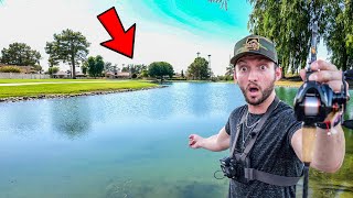 Fishing PRIVATE Neighborhood Ponds for Ferocious Fish