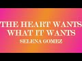 The heart wants what it wants (Lyrics) - Selena Gomez