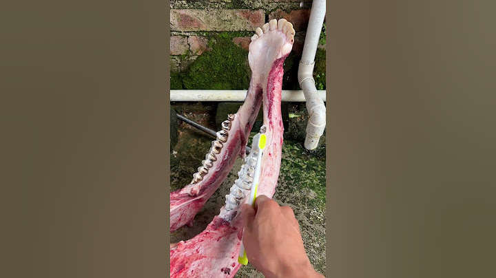 Eat a tooth today |Chinese Mountain Forest Life And Food #MoTiktok #Fyp
