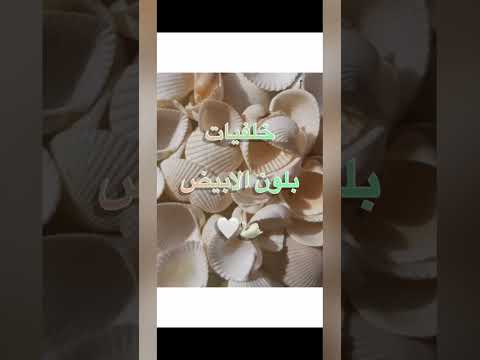 خلفيات بلون الابيض