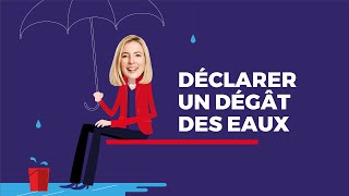 Vous souhaitez déclarer un dégât des eaux ?