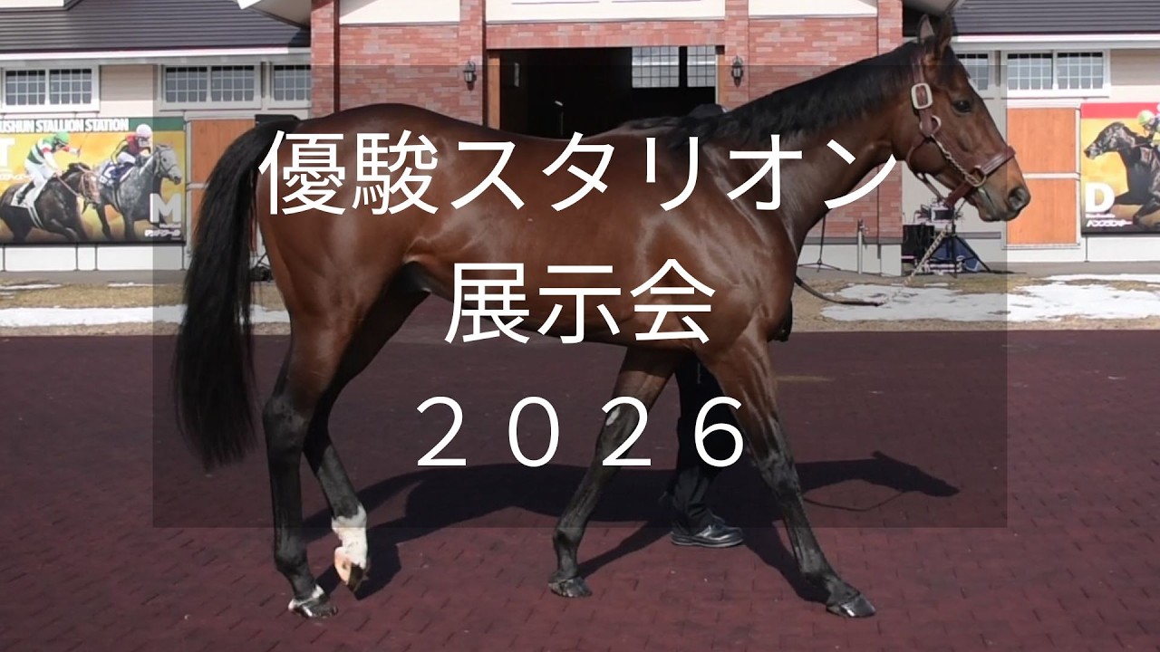 2026年 優駿スタリオンステーションの特集・最新情報 | サラブレッド