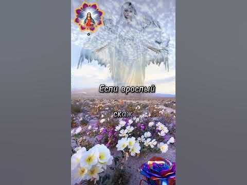 Предки наши воевали... - YouTube