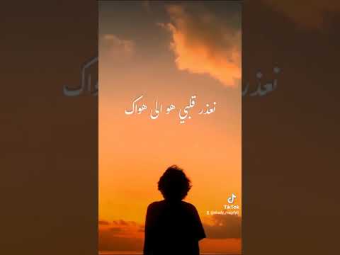 لمن نشكي حالي اسمعها و شيرها اغاني مسلسلات رمضان  ذا فويس حالات اغاني جديد