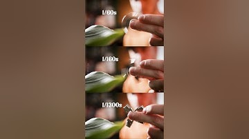 Lets talk Shutter Speed 🎞 ⤵️ #filmmaking #videographers #videotips