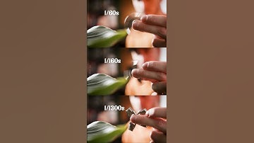 Lets talk Shutter Speed 🎞 ⤵️ #filmmaking #videographers #videotips