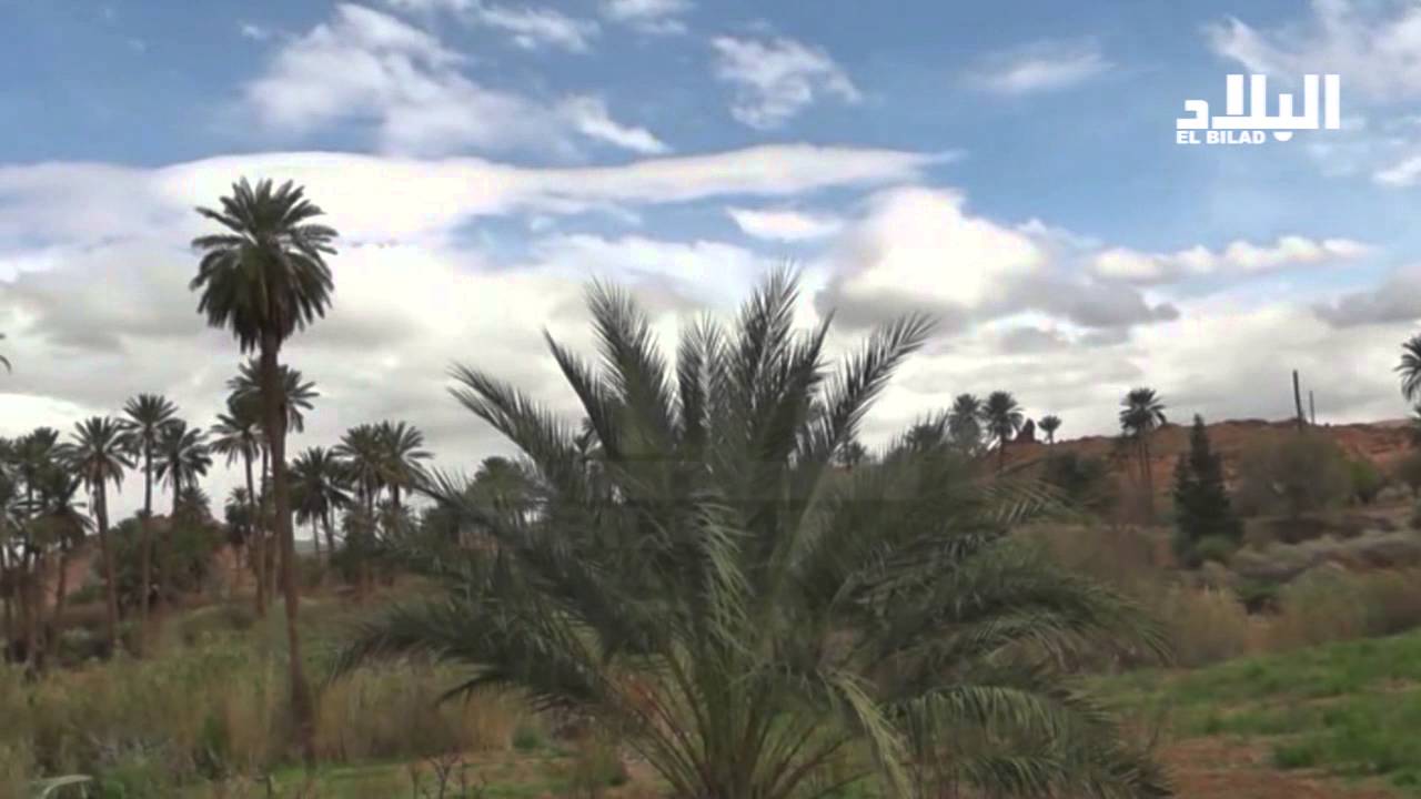 بلدية تيوت بالنعامة : قرية سياحية صغيرة مهملة تزخر بكنوز متنوعة  -el bilad tv -