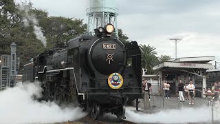 SLスチーム号 拍手喝采！この秋主役のC622号機、ド迫力の構内運転