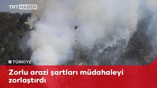 Denizli'de orman yangını