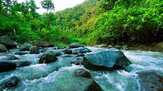 Waterfall Gentle Stream Sound in forest Waterfall Sounds, Flowing Water, White Noise for Sleep!