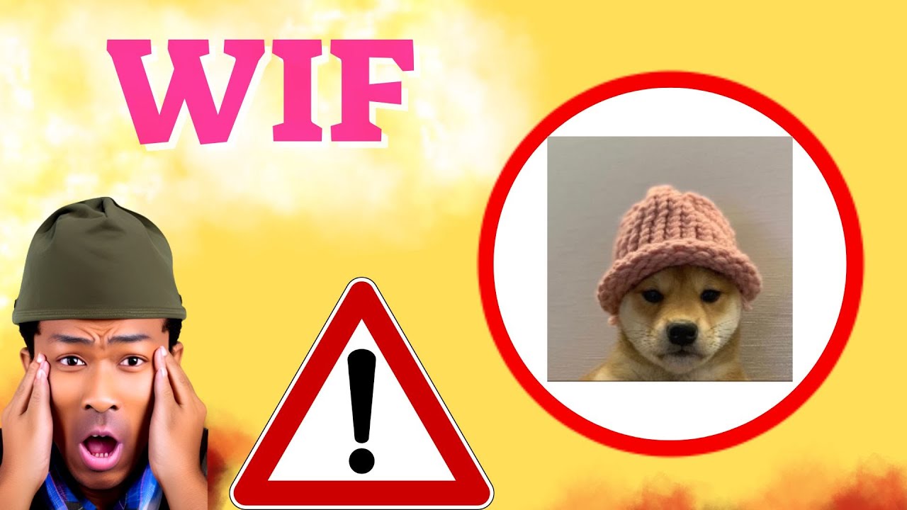 WIF Prediction 03/JUN WIF Coin Price News Today - Crypto Technical Analysis Update Price Now