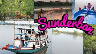 Whole Sunderban 2 Days and 1 Night Trip #Creativity Stands Here #Mangrove Forest Trip