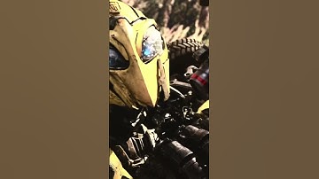 Bumblebee sad edit ￼