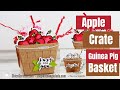🔴 Apple Crate and Guinea Pig Basket