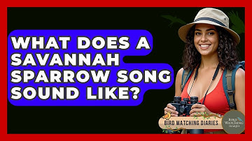 What Does A Savannah Sparrow Song Sound Like? - Bird Watching Diaries