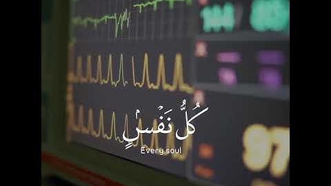 سورة العنكبوت آية ﴿٥٧﴾ | اسلام صبحي | حالات واتس | مقاطع انستقرام