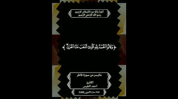 #ماتيسر_من_سورة #فاطر #القارئ#احمد_النفيس #اللهم اجعل القرآن الكريم ربيع قلوبنا ونور صدورنا يارب 🌴