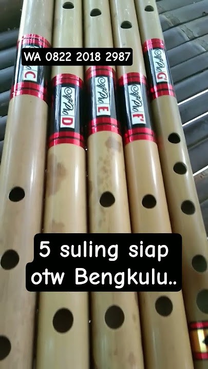5 Batang Seruling Dangdut Siap diterbangkan ke Bengkulu